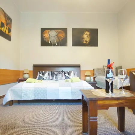 公寓 帕特里亚公寓旅舍 *